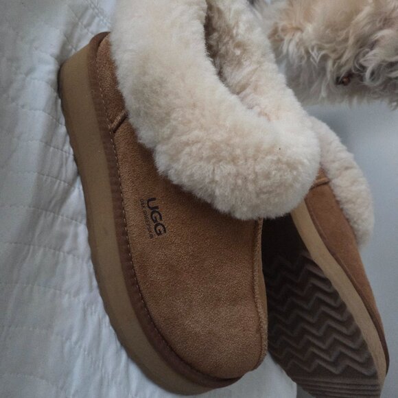 UGG - Picture 5 of 9